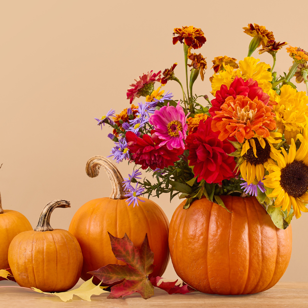 Blooming Pumpkin Workshop | October 25