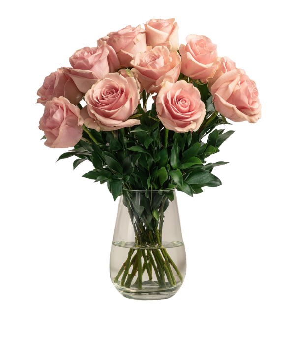Pink Hope