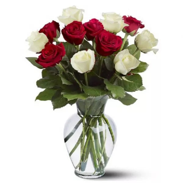 red and white roses