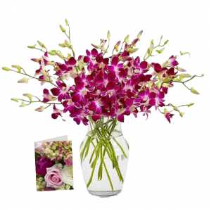 50 Blooms of Mother's Day Orchids I 