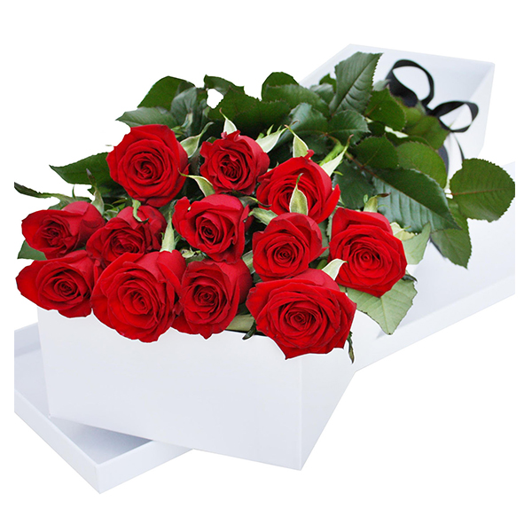 One Dozen Gift Boxed Roses 